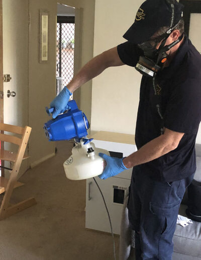 Disinfectant Spray