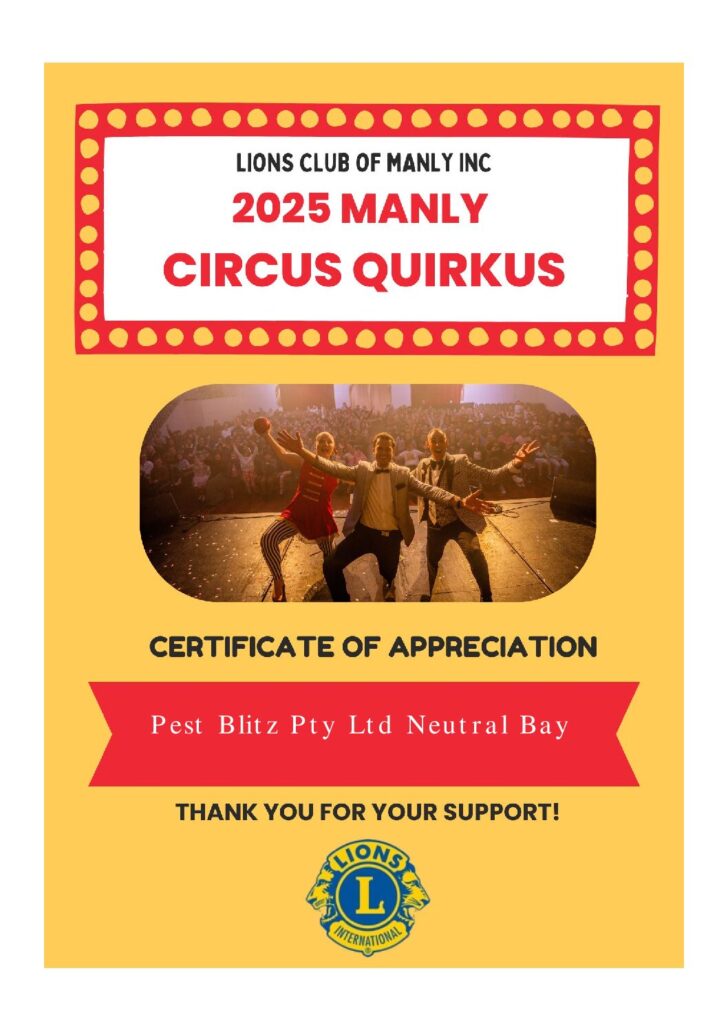 Manly Quirky Circus 2025 PDF preview